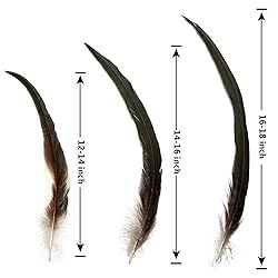 THARAHT 20PCS Rooster Coque Tail Feathers Bulk