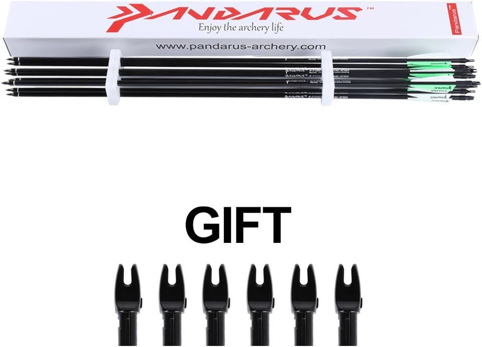 PANDARUS Archery 32inch 8mm Fiberglass Hunting Practice Arrows with Replaceable Arrowhead Spine 500 for Recure and Compound Bow Target (Pack of 12) : Sports & Outdoors