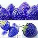 300pcs Blue Climbing Strawberry Seeds Tree Seed, Delicious Fruit Seeds For Home & Garden Bonsai Seeds Planting