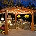 Lux Light G40 Clear Globe Ball String Lights 25 Feet - Indoor/Outdoor Rope Lights for Patio, Decoration, Events, Christmas, Fairy, Seasonal & Parties - Green