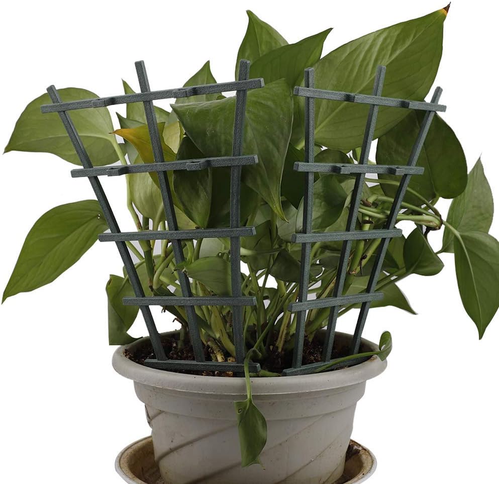 FGASAD Garden Trellises,Mini Plant Pot Support Frame Pergola Plastic Climbing Rattan Frame Cages Netting (Dark Green-2Pcs) - Image 5
