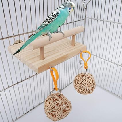 parrot hamster wheel