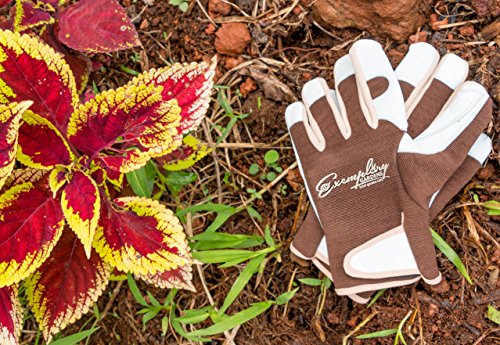 Leather Gardening Gloves for Women and Men. Adjustable Fastener and Breathable Spandex Back. Ideal for General Garden Tasks (Medium) - Thumbnail 4