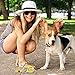 TNY-products Retractable Dog Leash W/ Break and Lock Button - 16 Feet Extendable Tape - Fit for Small/Medium Dogs - Easy To Use - Bag Dispenser Plus Extra Waste Roll and a Dog Tag Attached(Yellow)