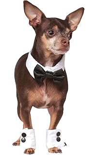 dog tuxedo collar