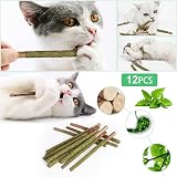 OSDUE Catnip Sticks Cat Teething Toys 12pcs Natural Wood Chews for Teeth view 4