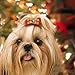 Didog 20pcs Dog Cat Grooming Accessories Hair Bow for Christmas Party