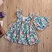 GRNSHTS Baby Girls Flower Print Ruffles Dress Set with Briefs (70 cm/ 0-6 Months, Floral Dress & Briefs)