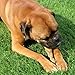 Pawstruck Natural 9” Braided Bully Sticks for Dogs - Tough, Long-Lasting, Rawhide-Free, Low Odor, Healthy Single Ingredient Chew Treat for Aggressive Chewers - 10 Count - Packaging May Vary