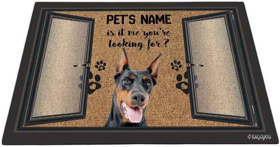 dirt customs doberman