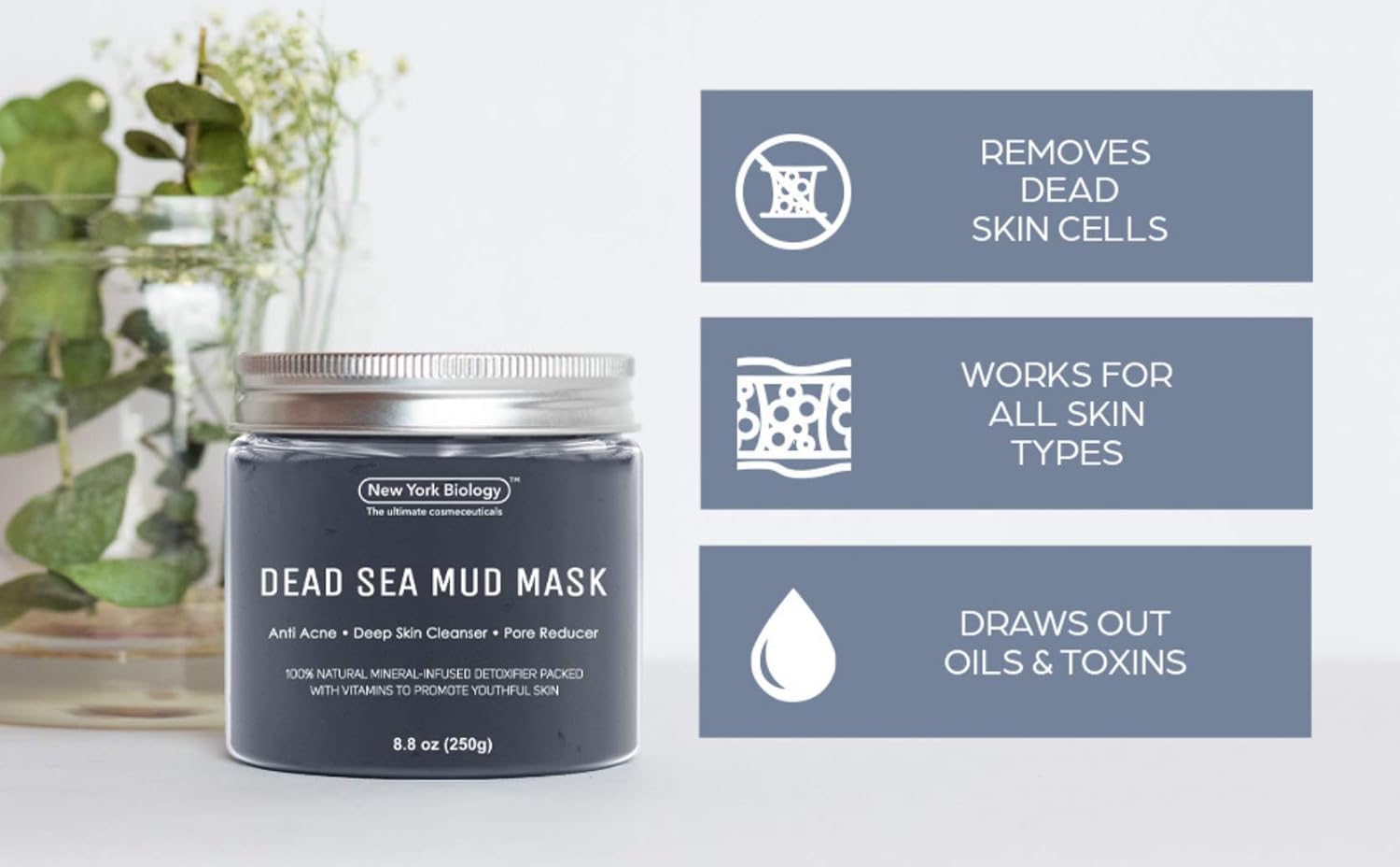 New York Biology Dead Sea Mud Mask for Face and Body - Spa Quality Pore Reducer for Acne, Blackheads and Oily Skin - Tightens Skin for A Healthier Complexion - 8.8 oz… : Beauty