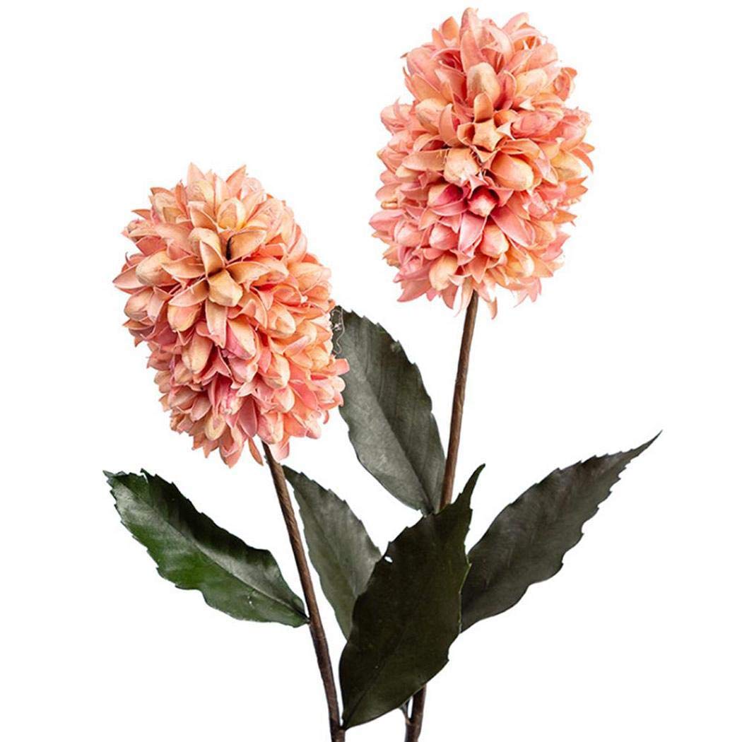 Piokikio Dutch Hyacinth Flower Seeds Home Garden DIY Plants Decoration Flowers