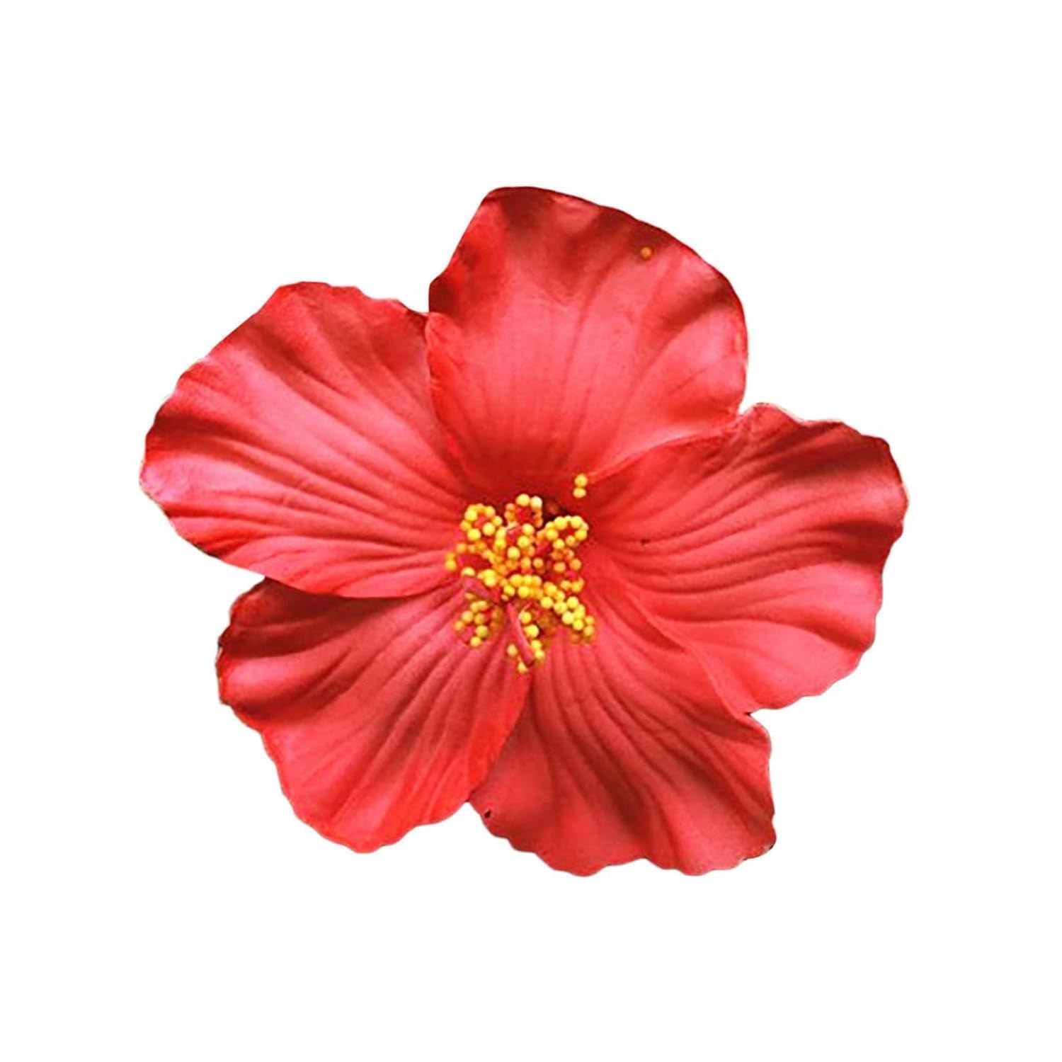 Photo 1 of 8cm Hawaiian Flower Hair Clip for Women Girls Fashion Bohemian Flowers Hair Accessory for Dancer Bridal Wedding Beach Party Hair Accessories (Red)