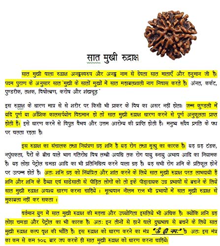 100% Original & Natural and Pure 7 Mukhi/Faced Nepali Rudraksha | 7 Mukhi Rudraksha | 7 Face Rudraksha | Seven Face Rudraksha | Seven Mukhi Rudraksha | Original 7 Face and Seven Mukhi Rudraksha