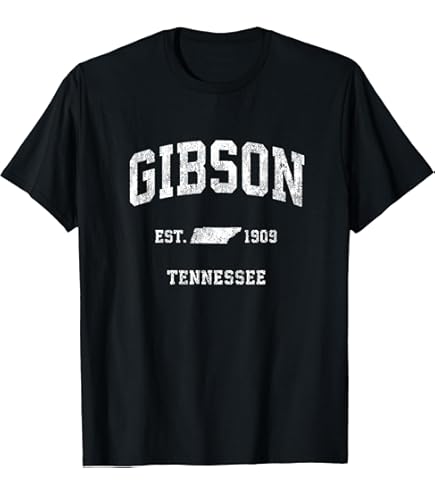 Amazon.com: Gibson 標準拾取包- 72 入- 黑色,M 號: 樂器