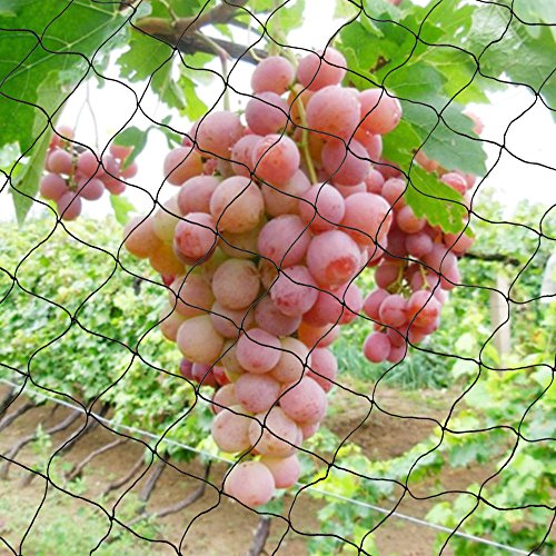 image for Boshen 24.9'x49.2' Anti Bird Net Poultry Aviary Game Net Garden Huntin