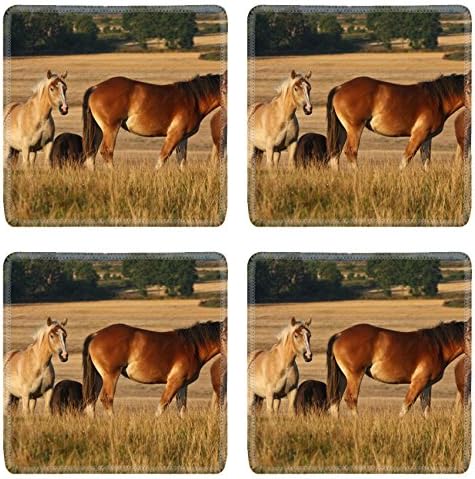 MSD Square Coasters Non-Slip Natural Rubber Desk Coasters design: 11376532 Nature in south Sweden in the province of Sk ne horses on a field
