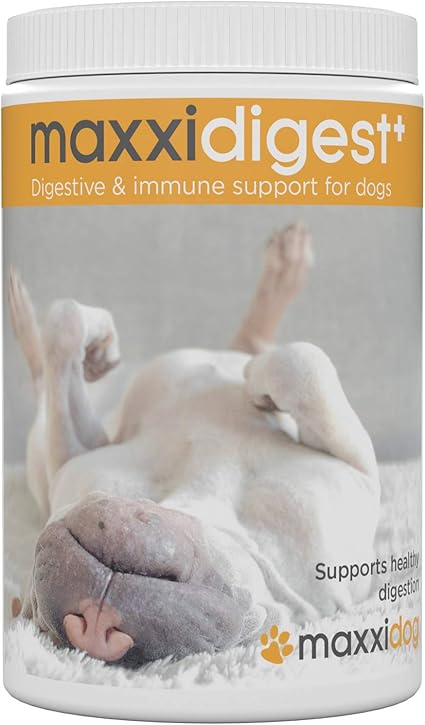 Maxxidigest Formula Avanzata Per Supportare Il Sistema Digestivo E Immunitario Di Cani Enzimi Digestivi Per Cani Probiotici E Prebiotici Canini Polvere 375 G Amazon It Prodotti Per Animali Domestici