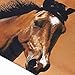 Galloping Horse Bedding Sets, 100% Polyester 3D Bedding Sets, 4pcs with Duvet Cover, Bed Sheet, 2*Pillow Case (Comforter Not Included) Twin Size