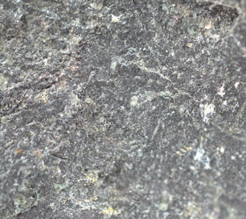 Eisco Amphibolite Specimen (Metamorphic Rock), Approx. 1" (3cm)
