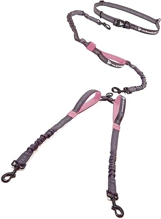double dog leash for small dogs