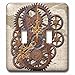 3dRose lsp_108102_2 Steam Punk Cog Wheels in Bronze Double Toggle Switch