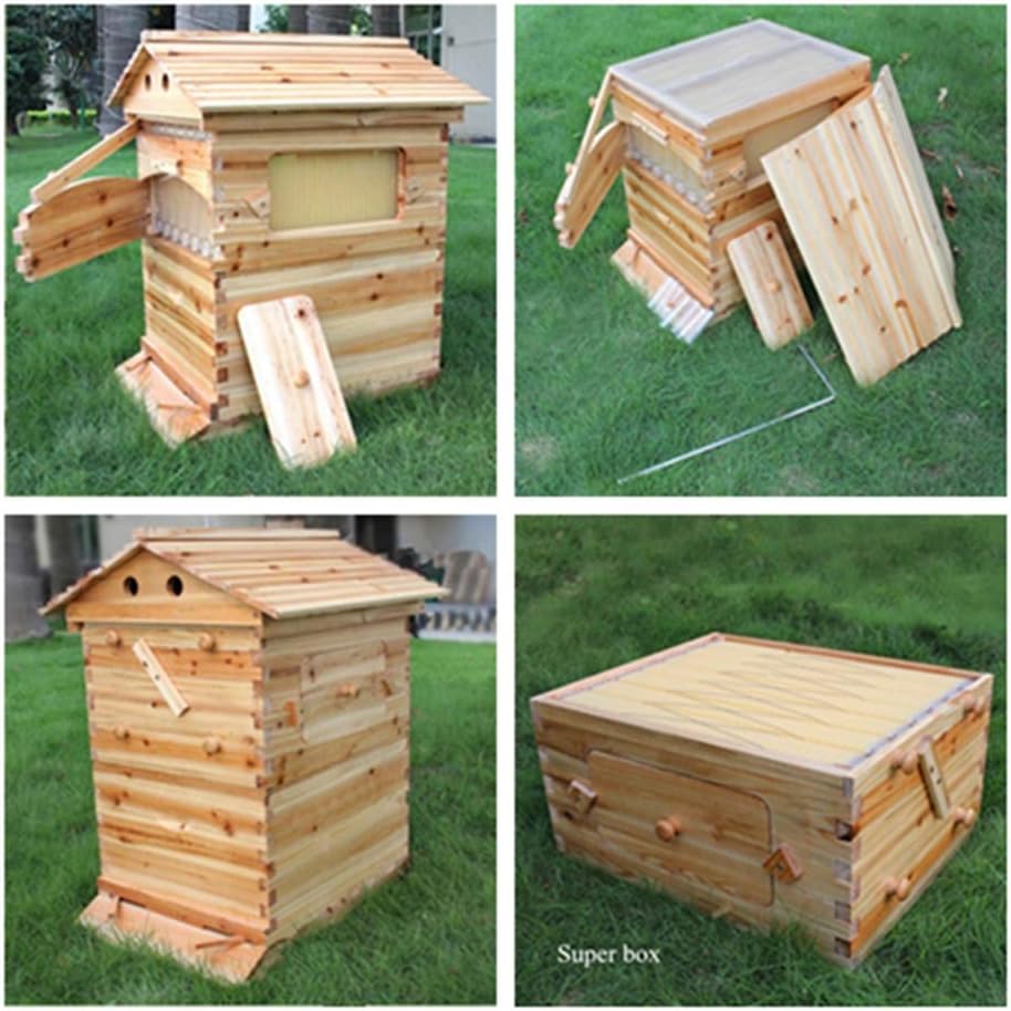 Z@SS - Cajas de Madera para Colmena de Abejas, 7 Unidades: Amazon.es: Hogar