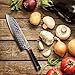 TUO Santoku Knife 7 inch - Japanese AUS10 Damascus 67-Layers Steel - Hollow Ground Edge - Non Sticky - Hand Hammered Blade Fifnished - Dishwasher Proof - G10 Handle - Ring-H Series