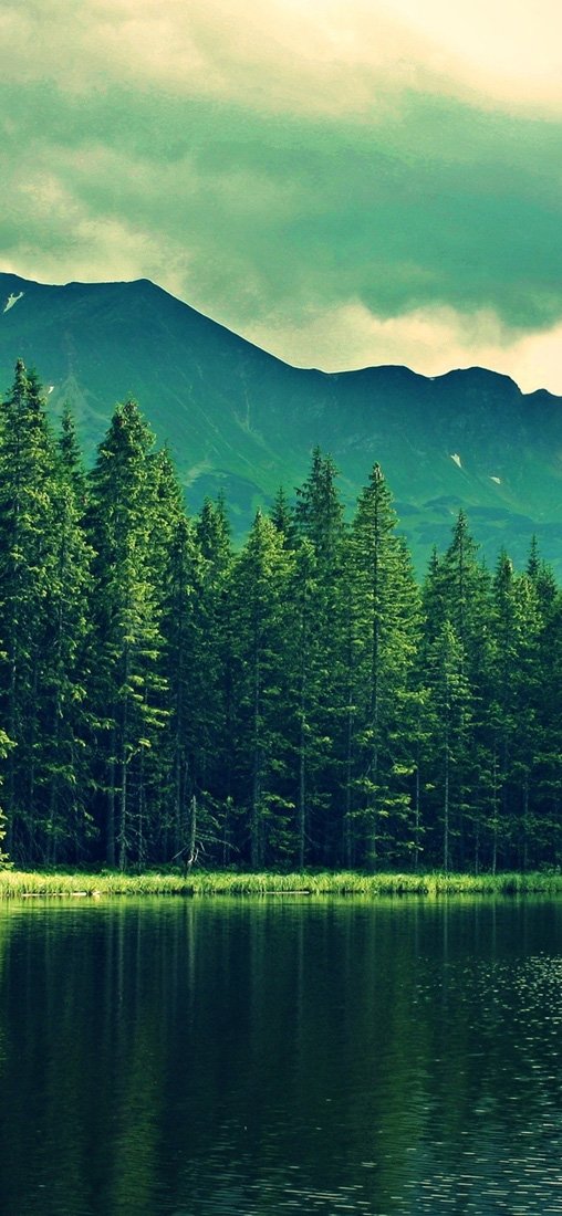 PeelitStickit, Beautiful Nature Wall Murals, ID-162, vinyl