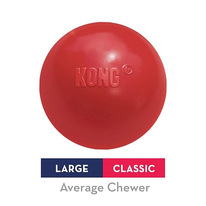 KONG Ball with Hole Durable Rubber, Fetch Toy For Medium/Large