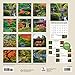 Turner Japanese Gardens 2016 Wall Calendar (8940033)