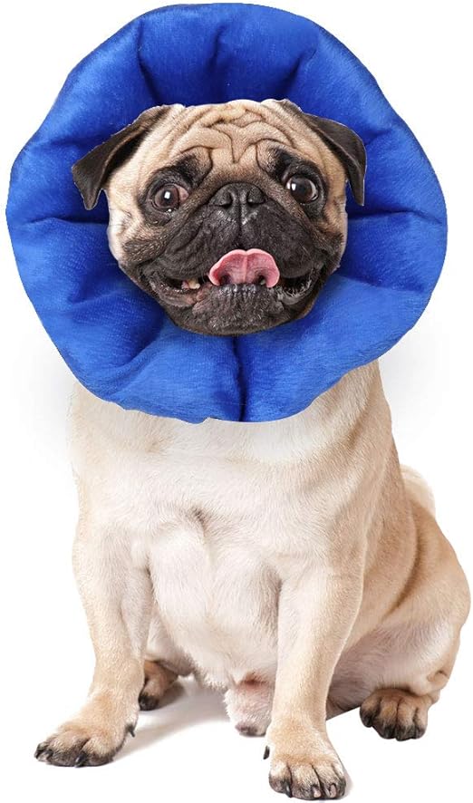 dog soft cone amazon