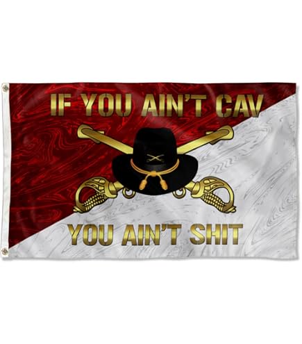 Fyon Cavalry 'You Ain't Shit' Flagge - 90x152 Cm, Militärbanner Mit 2 Messingösen Für Drinnen & Draußen