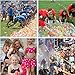 1500 Pack Water Balloons with Refill Quick & Easy Kit Eco-Friendly Biodegradable Latex Water Bomb Balloons Fight Games for Kids and Adults Summer Outdoor Water Toy