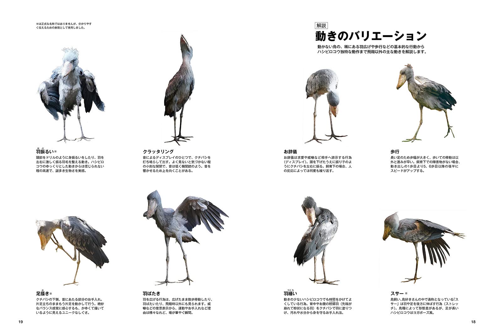 踊るハシビロコウ 南幅俊輔 本 通販 Amazon