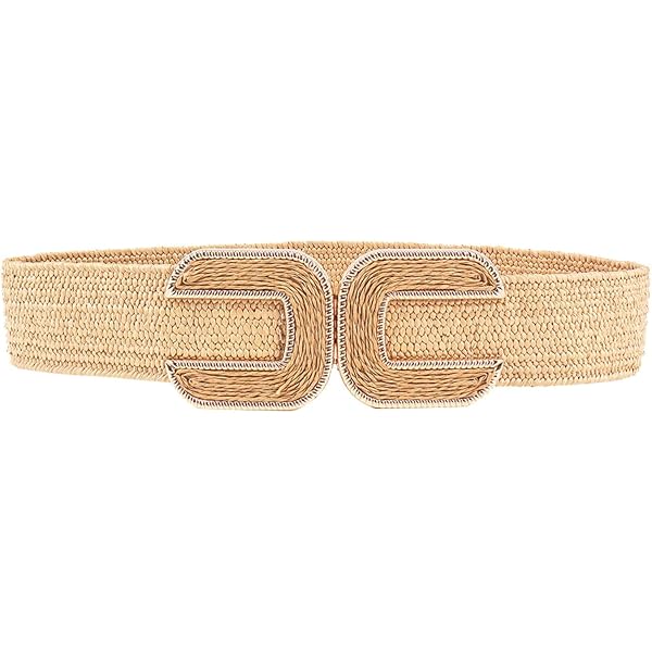 Women Brown Elastic Fashion Belt - Wide Hip High Waist Gold  display picture 1