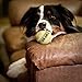 PetSport Tuff Ball - Medium Tennis Balls for Dogs, Chew Toy for Aggressive Chewers, Fetching, Natural Rubber, Certified Non-Toxic, Won't Wear Down Teeth - 2.5