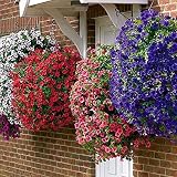 DIVCHI 14 Inch Indoor Outdoor Hanging Basket Set of 4 view 7