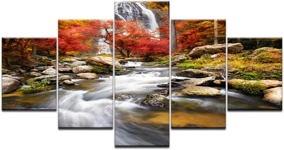 JFASJ 5 Fotos Cascada Paisaje Imágenes Bosque árbol Arce Rojo Río Agua