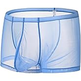 ZONBAILON Mens Mesh Sexy Sheer See Through Boxer Briefs Bulge Enhancing Pouch Trunks Underwear Pack M L XL 2XL 3XL