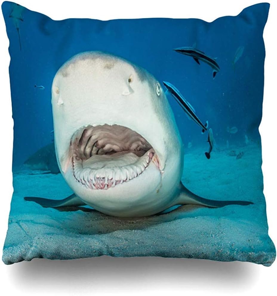 Throw Pillow Case Nature Blue Adventure Lemon Shark Open Mouth On Remora Sand Atlantic Bahamas Beach Caribbean Design Home Decor Pillow Cover Square Size 16x16 Inch Zippered Pillowcase