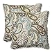 Pillow Perfect Paisley Indoor/Outdoor Accent Throw Pillow, Plush Fill, Weather, and Fade Resistant, Large Throw - 18.5