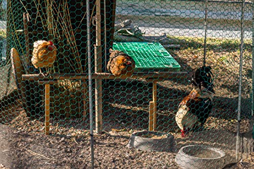 Aquagart Maschendrahtzaun 40m Sechseckgeflecht grün I Hühnerzaun Kaninchendraht Hasengitter feinmaschig 13 x 13 mm I 6-Eck Drahtgeflecht 0,8 mm I 50 cm hohe Hasendraht – Bild 8