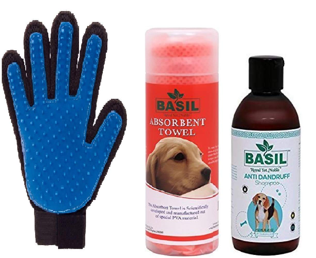 dog dandruff brush