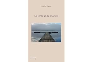 La lenteur du monde (French Edition)