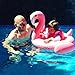 Loveyikee Pink Flamingo White Swan Baby Swim Ride-On Float Swimming Pool Toys Inflatable Swimming Ring for Kids Perfect for Summer Play Pool Toys for Baby (Pink Flamingo)