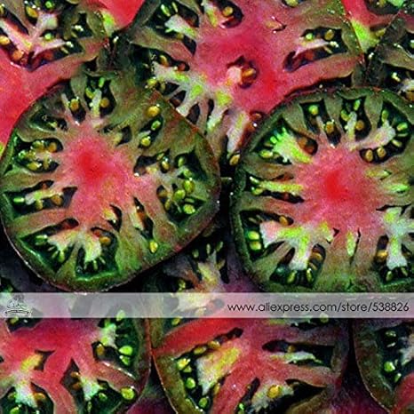 Casavidas BELLFARM Bonsai Schwarz Krim Tomato & # 39; & # 39; Black Sea Man & # 39; & # 39; Russland Ukrain ErbstÃ¼ck Hohe Ge