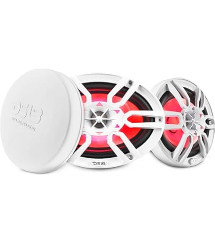 Amazon.com: Wet Sounds Zero 69 XZ-W | Zero Series 6x9 High-Output