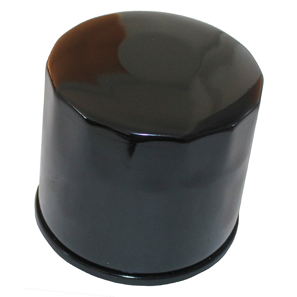 Amazon.com: Caltric Oil Filter Fits ARCTIC CAT 500 FIS MAN FIS TRV AUTO H1  TRV HI EFI XT Core 4x4: Automotive