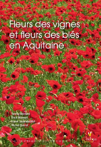 Fleurs des vignes et fleurs des blés en Aquitaine